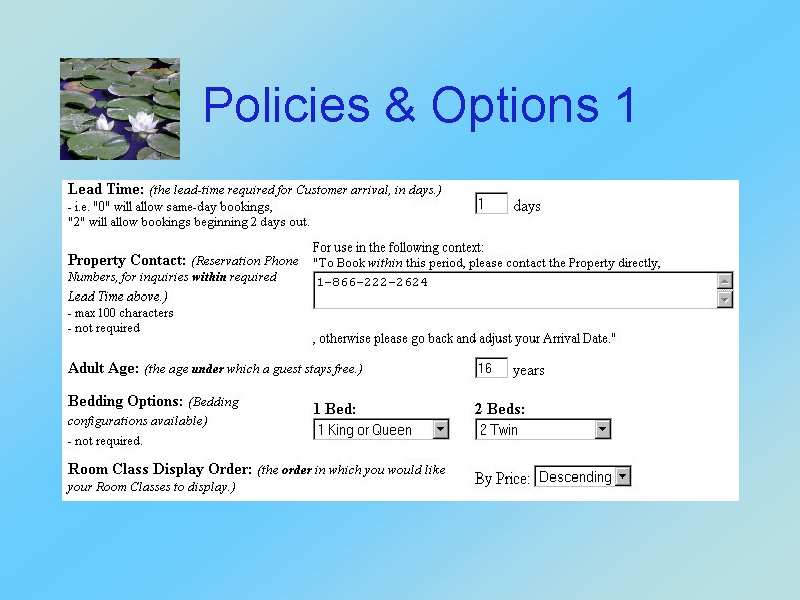 Policies & Options 1